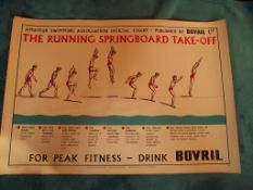 1950'S Amateur Swimming Association Advertising Poster - Publisher - Bovril Ltd.