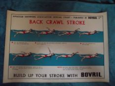 1950'S Amateur Swimming Association Advertising Poster - Publisher - Bovril Ltd.