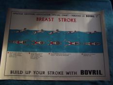 1950'S Amateur Swimming Association Advertising Poster - Publisher - Bovril Ltd.