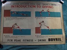 1950'S Amateur Swimming Association Advertising Poster - Publisher - Bovril Ltd.