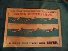 1950'S Amateur Swimming Association Advertising Poster - Publisher - Bovril Ltd.