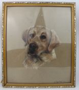 Pastel Labrador by Jeanne Rynhart (1946-2020)