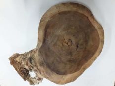Hardwood Kiln Dried Sawn Timber Monkey Pod Log Slice / Crosscut