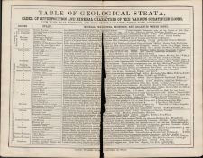 James Reynolds Rare Antique Geology Table of Geological Strata.