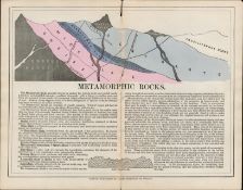 James Reynolds Antique Geology Metamorphic Rocks.