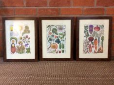 Excellent Botanical Framed and Mounted Prints