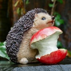 Ornaments & Figurines for Home & Garden | Quirky & Unique Items | Everything Offered with Free Delivery