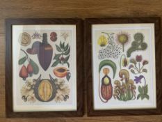 Stunning Pair Botanical Framed Prints