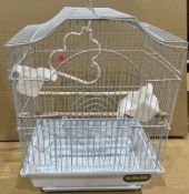 BRAND NEW BIRD CAGE