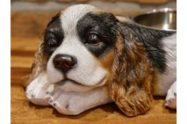 Spaniel Dog Bowl x24