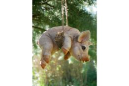 Hanging Piglet