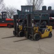 Cat DP25NT - Forklift