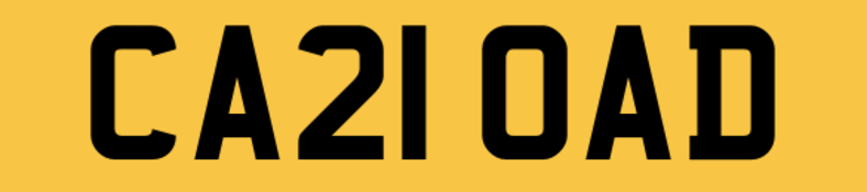 CA21 OAD Car Load Car Boot Removal Recycle Skip Collection Private No Plate 786