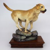 Albany Limited Edition Labrador