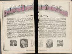 Rare James Reynolds Antique Geology Igneous Rocks Granite Veins.