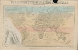 Rare James Reynolds Antique Distribution of Birds and Reptiles.
