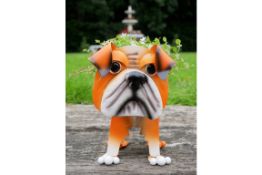 6x Bulldog Planter