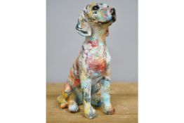 Puppy With A Touch of Colour