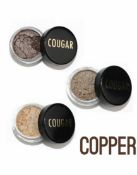 10 x Copper Eye Shadow Trio Kit