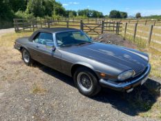 Jaguar xjs V12 Automatic