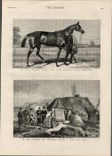Inspecting A Farm Holding Limerick Ireland 1881 Antique Print.