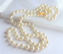 Single Row Opera Length 8mm Pearl Necklace with Gift Pouch