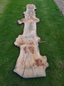 Hardwood Air Dried English Burr Waney Edge / Live Edge Oak Board / Plank