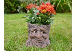 Small Faced Tree Stump Planter