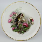 Collection of 8 Royal Worcester Bird Plates