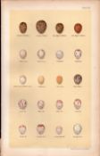 Warbler, Wren, Blue Great Coal Tit Bird Eggs Victorian Antique Print 53.