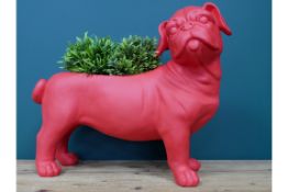 The Big Red Dog