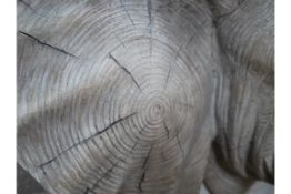 Elephant Head Wall Art