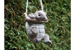 Hanging Tortoise