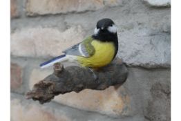 Set of 2 birds on a branch