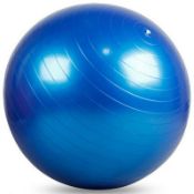 5 Blue Gym Yoga Exercise Balls