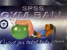 5 Red Gym Yoga Exercise Balls