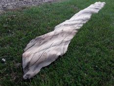 Seasoned Sawn English Yew Timber Board