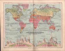 Trees Shrubs Grains & Fruits of The World 1871 WK Johnston Antique Map.