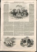 Mucross Abbey, O'Donoghue's Horse, Innisfallen Abbey Killarney 1849 Print