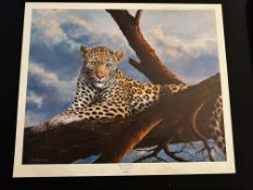 Three x Eye of The Hunter By Pat Hesketh 1982