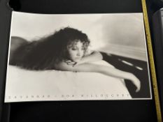 Savannah - Bob WilloughBy 1989