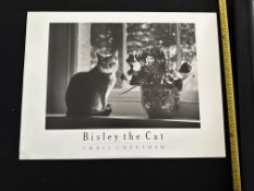 Bisley The Cat By Chris Cheetham