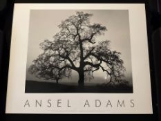 Oak Tree Sunset City By Ansell Adams, Authorised Edition 1997