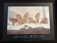 Three x Artic Wolves,