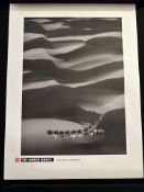 The Amber Dunes By Yann Arthus-Bertrand