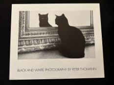 Cats By Peter Thomann