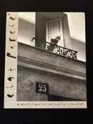 Chat Perche, Goblin Photographics 1989
