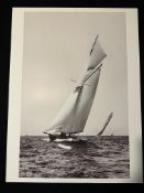 Turn of The Century Collection, Pro-Artis 1999