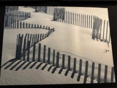 John Arnold Images, Walter Bibikow