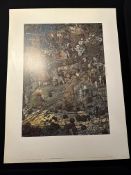 The Fairy Fellers Master Stroke By Richard Dadd, The Tate Gallery 1978